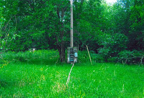 Property photo 3 - LAND AUCTION - 278.5+/- Acres Offered in 5 Tracts